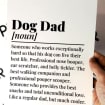 Brand88 Dog Dad Funny Definition, Funny Dog Owner Quotes Novely