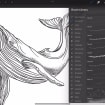 listing-video-1