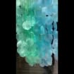 listing-video-1
