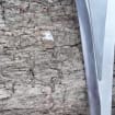 listing-video-20
