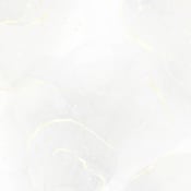 listing-video-1
