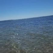 listing-video-1