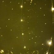 listing-video-1