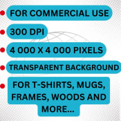 listing-video-1
