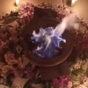 listing-video-1