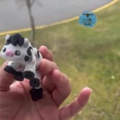 listing-video-1