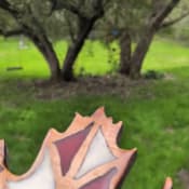 listing-video-1