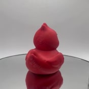 listing-video-1