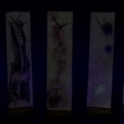 listing-video-1