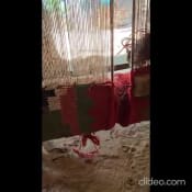 listing-video-1
