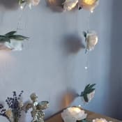 listing-video-1
