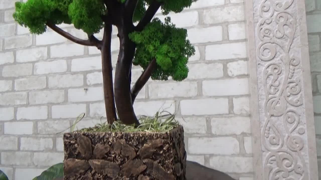 Decorazione Pino bonsai artificiale h 168 cm, Arredo e decorazioni