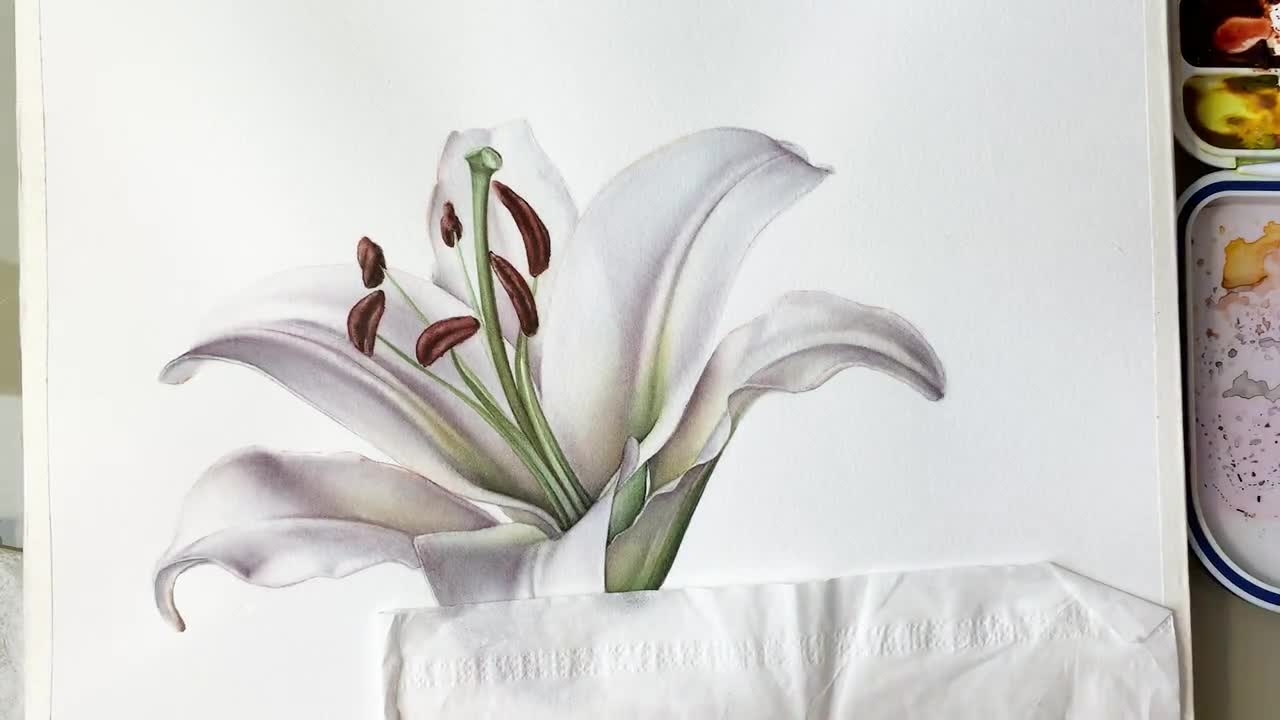 How to Paint Lily, Easy Watercolor Tutorial, Step by Step Flower