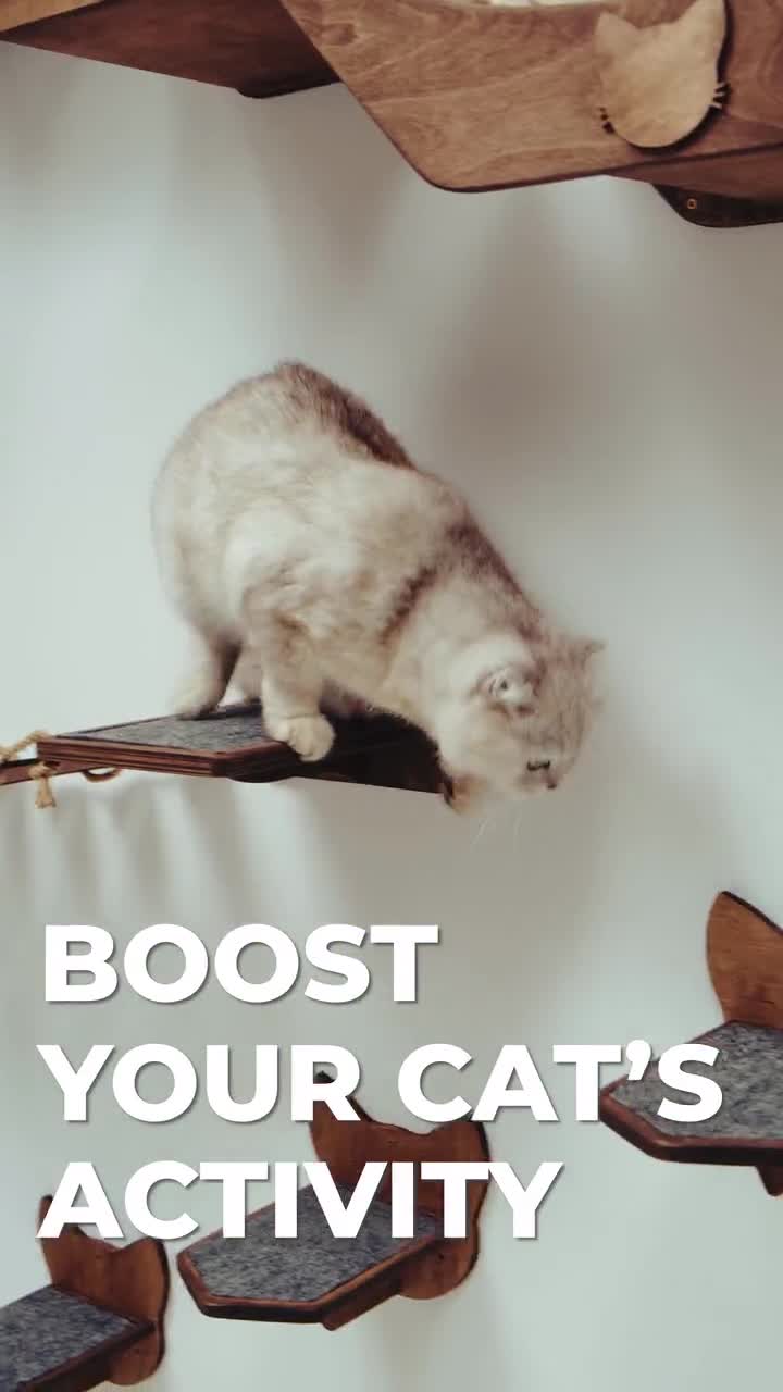 Mobili Da Parete Per Gatti FUKUMARU - Mensole In Legno Con Capsula Trasparente