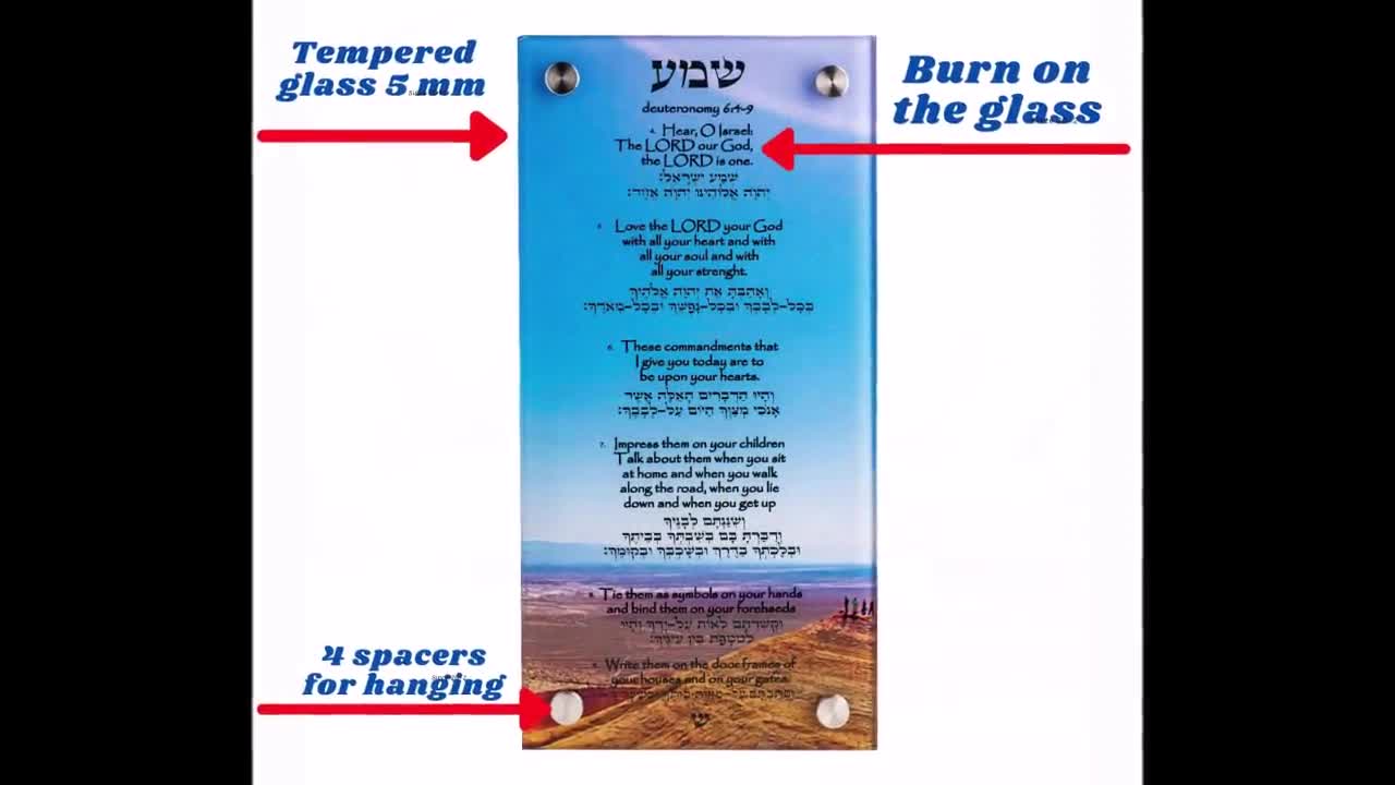 judaica Glorious big SEFER TORAH Scroll Book Hebrew Bible&YAD POINTER 23  /58cm