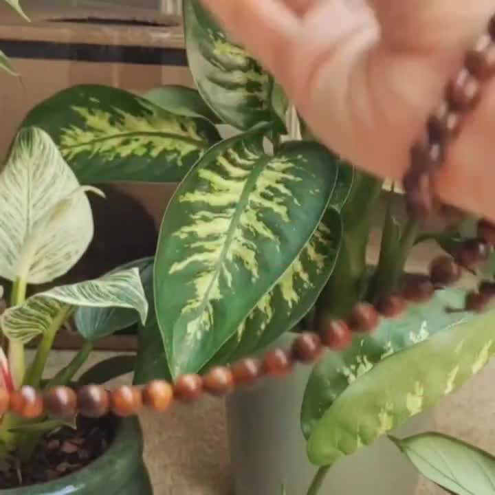 108 PERLINE DI Legno Perline Di Preghiera Buddismo 6Mm - Foto 10