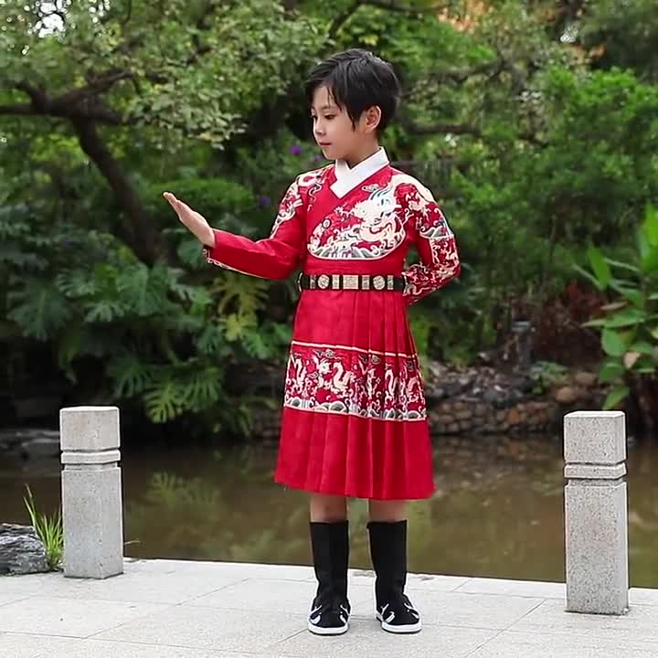 Ancient Costume Ming Dynasty Male Embroidery Uniform Han Fu Jin Yiwei  Customized