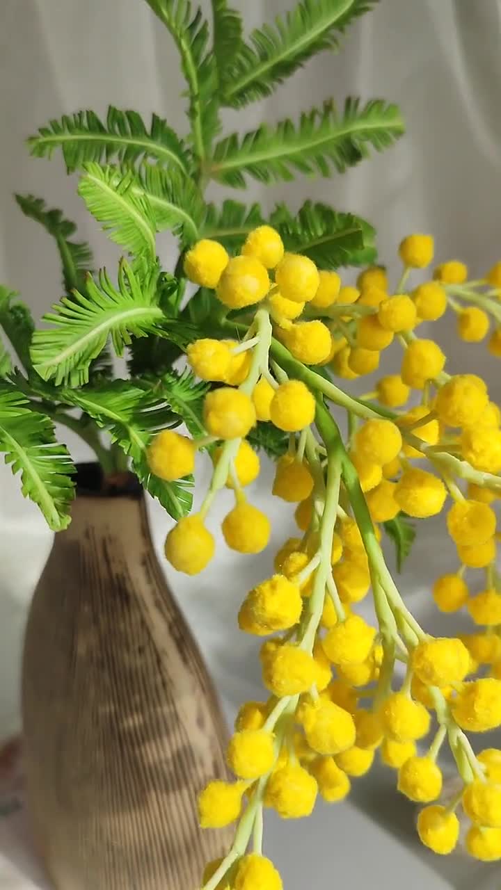 Mimosa. Spring Yellow Mimosa. Mimosa Flower. Spring Bouquet. - Etsy