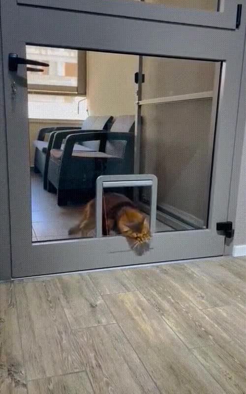 Cat Door ZIQI Dog Door, ABS Pet Door Suitable For Inner And Outer - Main Image