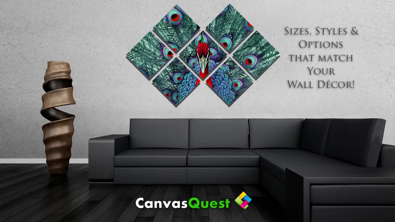 Metal Print - Red Peacock - 3 Panel Split (triptych) - Multi Panel