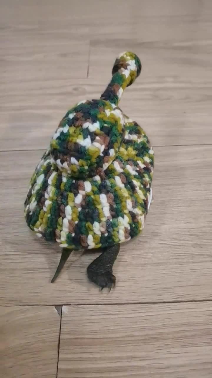 Handcrafted Custom-knit Clothing and Costume Styles for Turtles