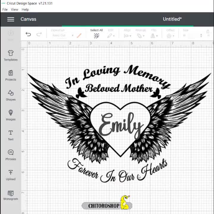 SOUL MAMA WINGS. - Fehlinger Graphics Design Studio