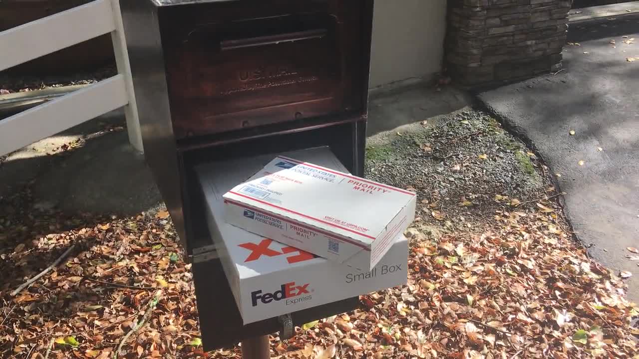 Fucsia Gartenmeister (Fuchsia triphylla), exótica flor naranja, favorita de los colibríes, planta de patio que ama la sombra, PLANTA VIVA EN MACETA video poster