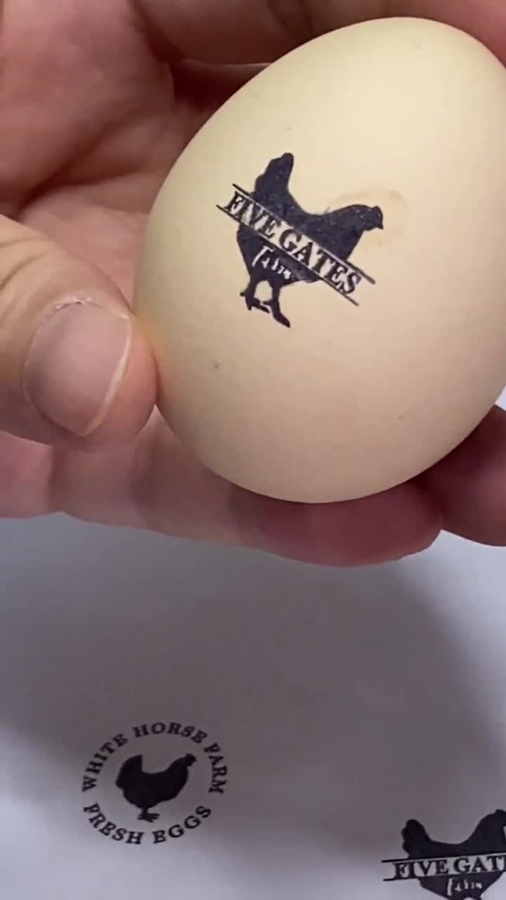 Custom Chicken Coop Egg Carton Stamp – sealingwaxstamp