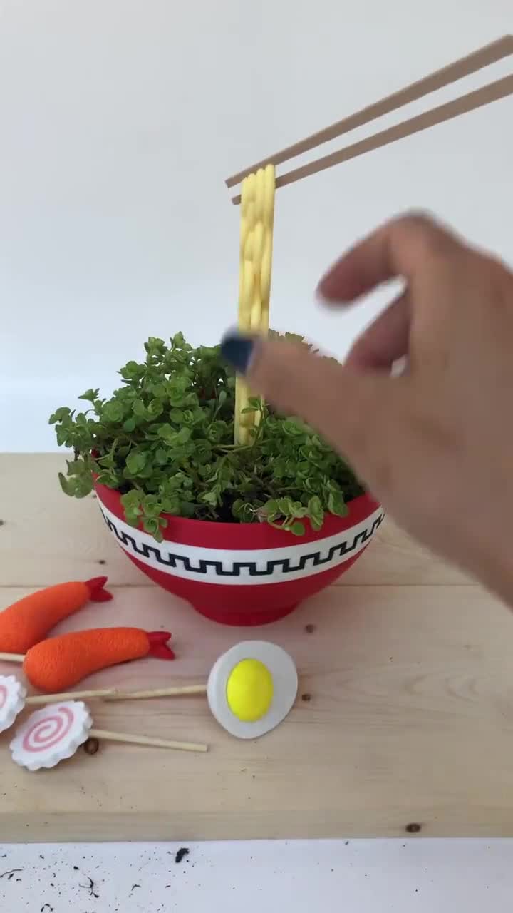 Japanese Ramen Bowl Planter | Floating Noodles and Topping