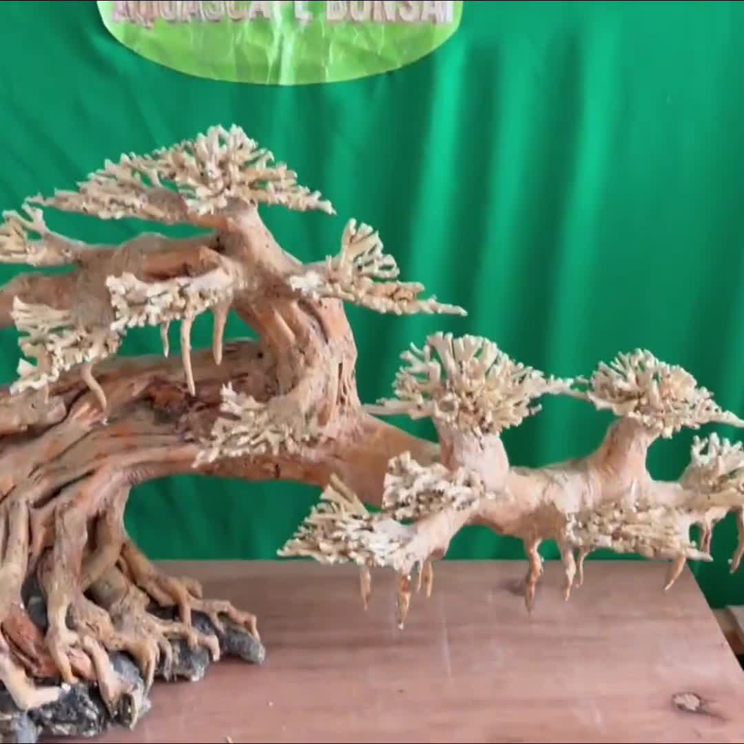 盆栽 水槽 流木 岩 ベース アクアスケープ 水槽 装飾 流木 天然 - Etsy