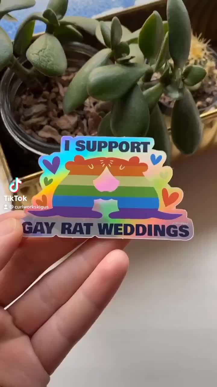 gay rat wedding dress