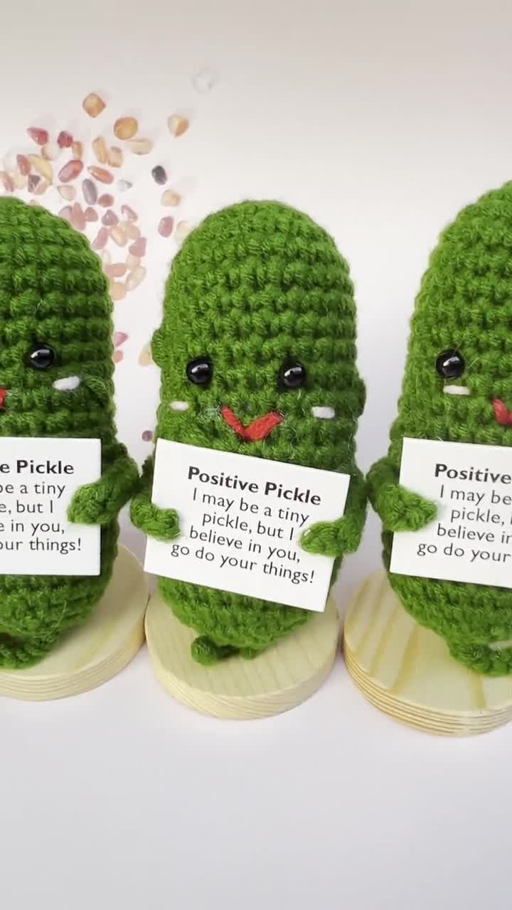 Emotional Support Pickle and Positive Potato,handmade Crochet Vegetables  Plush,valentine's Day Gift Stocking Stuffers,best Friend Gift 