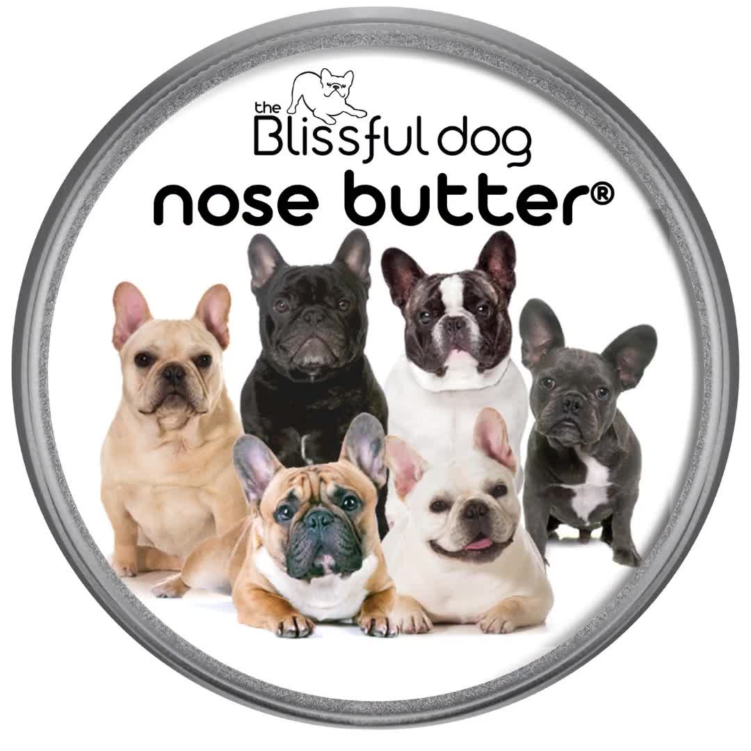 Bull terrier outlet nose butter