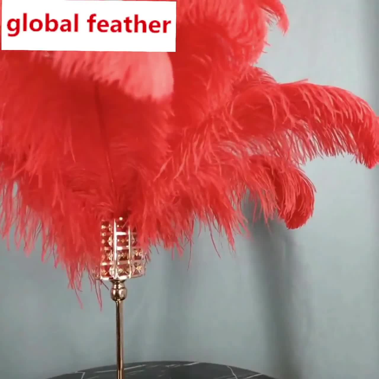 100 PCS Deep Pink Ostrich Feather Wedding Party Prom Charity Party Event  Feather Wall Costume Design Wing Decoration Material 