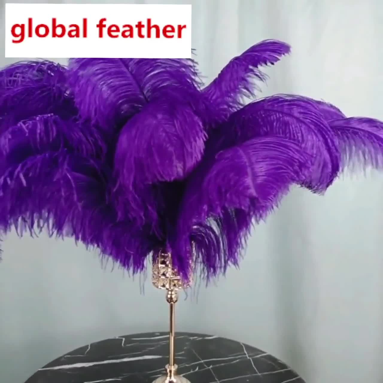 Purple Narrow Ostrich Feathers Wholesale Dozen Bulk 12-14 inch 12 Pieces  Crafts, Arts, DIY, Mask, Events and Stage Performance Decorations PROMS  CHEAP