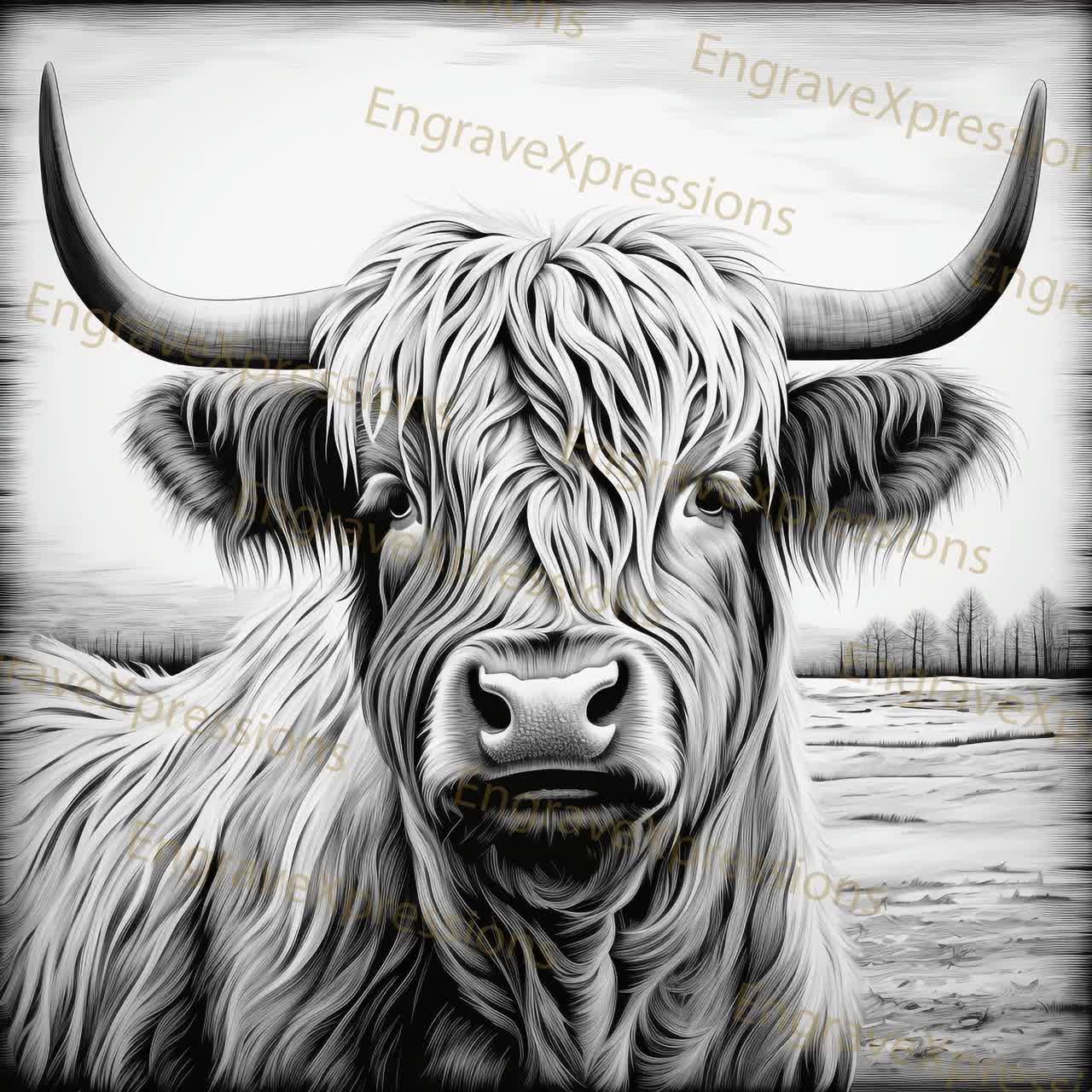 3D Eye Illusion Laser Engrave PNG: Lightburn Glowforge File video poster