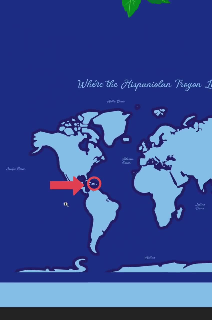 イスパニョーラ・トロゴン（ドミニカ共和国の国鳥）のプリント