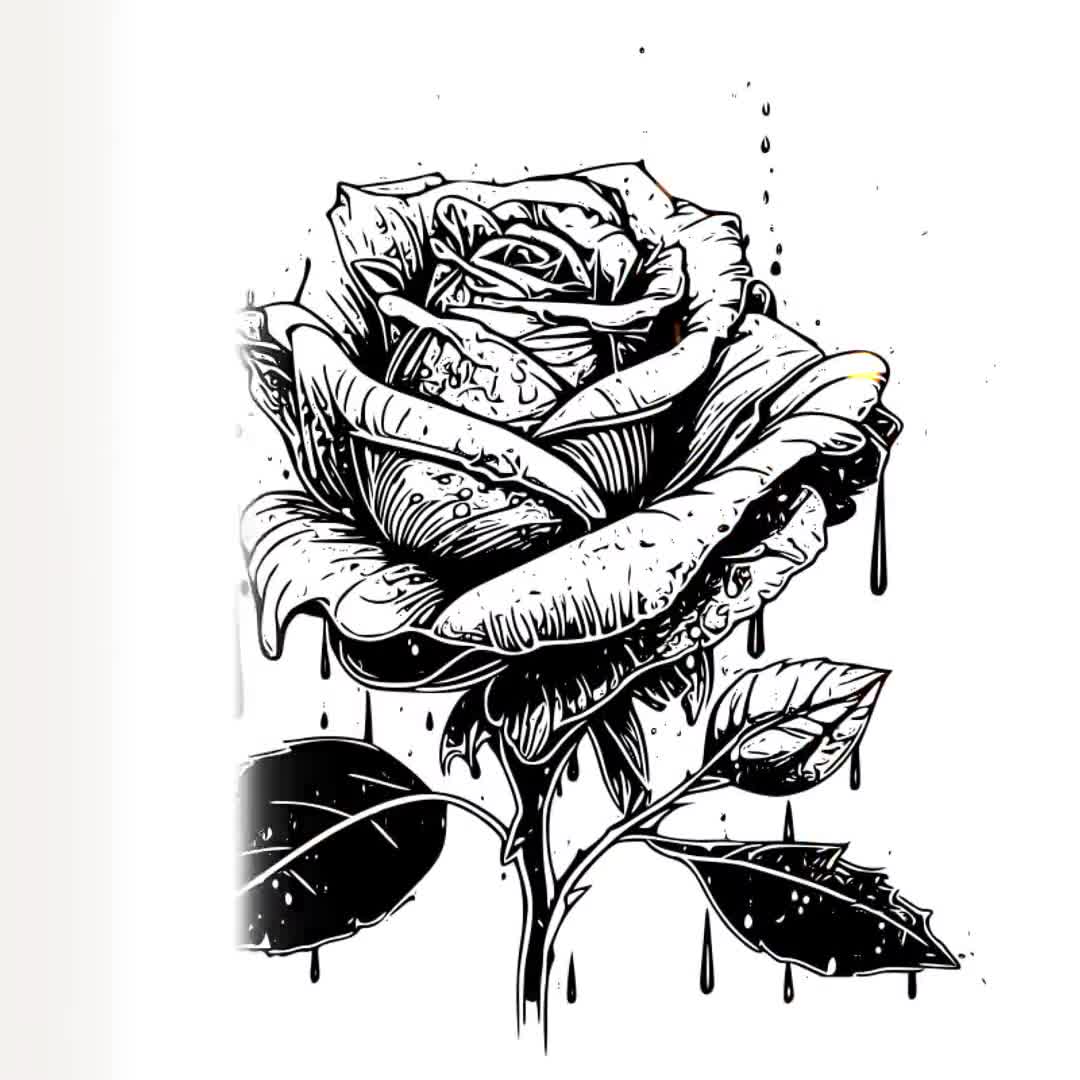 rose-tattoo-design-download-high-resolution-digital-art-png-transparent-background-printable-svg-tattoo-stencil-etsy