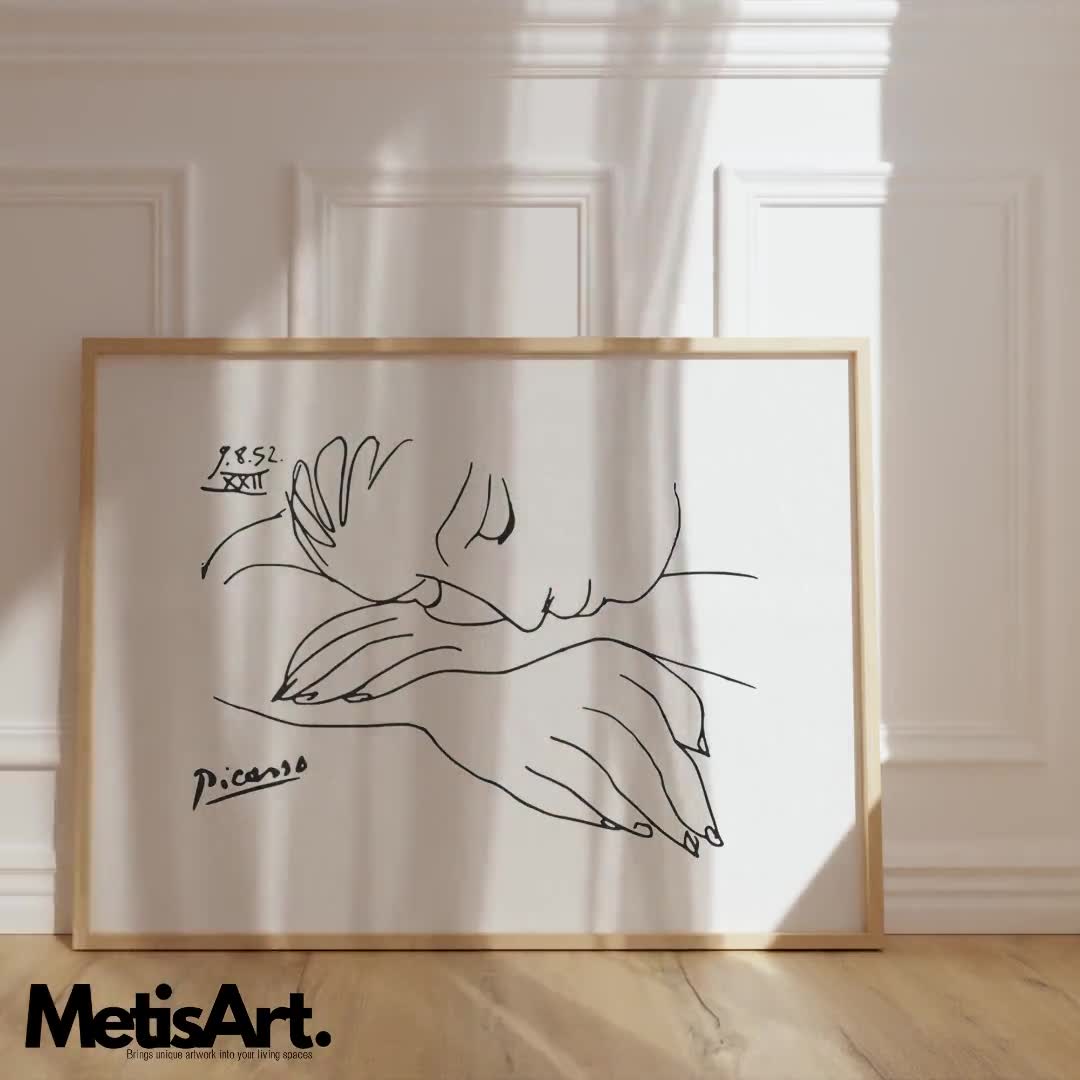 ピカソ Picasso お皿 壁掛け 直径約24cm 8枚セット 【公式通販】