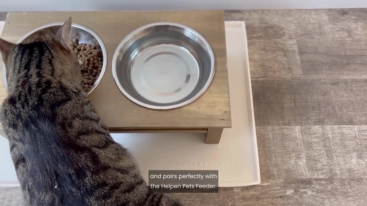 Pet Feeding Mat Dog Puppy Cat Feed Pad Cute Cloud Shape Silicone Dish Food  Bowl
