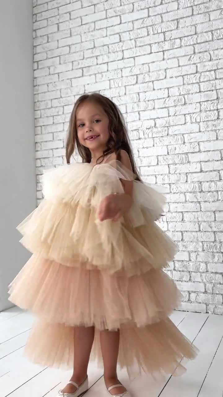 Beige Tulle Girl Dress, Puffy Toddler Tutu Dress, Beige Birthday Baby Dress, Fancy Photoshoot Dress, Graduation Outfit for Girls