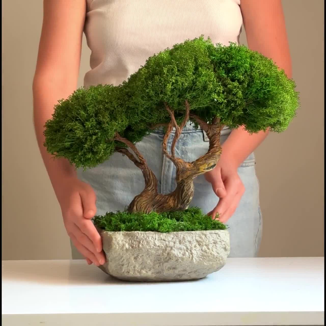 Japanese Bonsai Decor With Preserved Moss | Minimalist Ceramic Pot