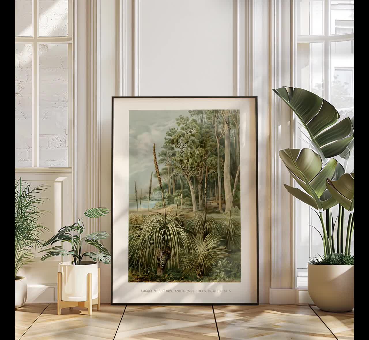 ユーカリの木立のアートプリント、ヴィンテージ植物風景画、自然 ユーカリの木立のアートプリント、ヴィンテージ植物風景画、自然