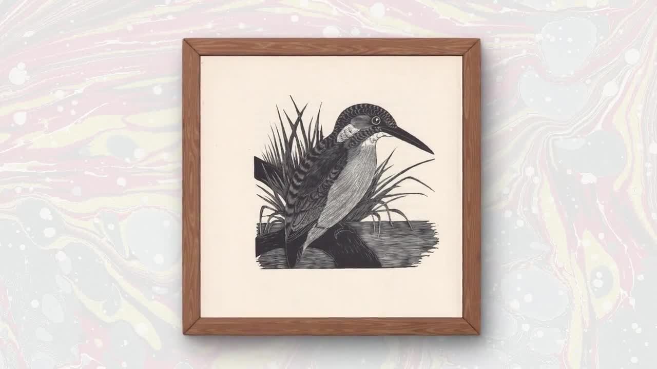 1929年 カワセミの木版画 - 鳥の壁掛けアート - 鳥の木版画