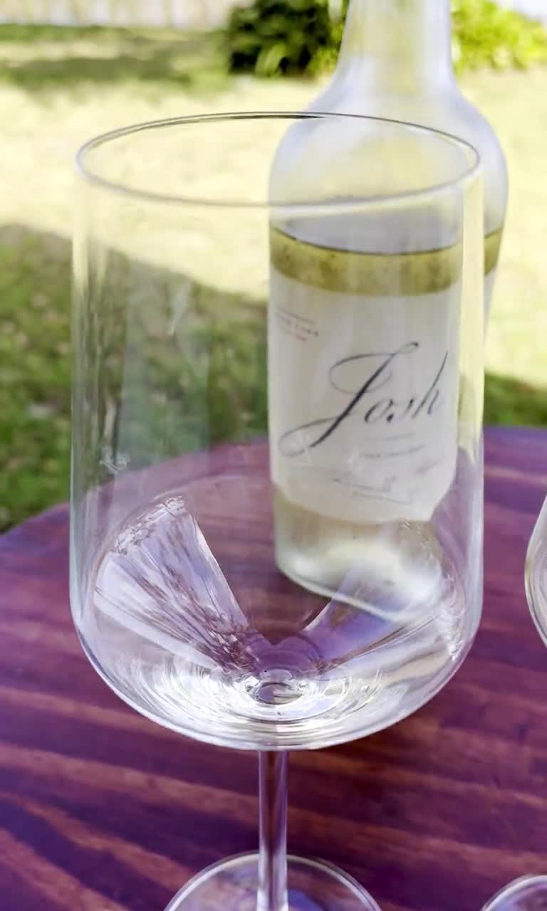 2 Pair of Schott Zwiesel pure-belfesta Unbreakable Wine Glasses in
