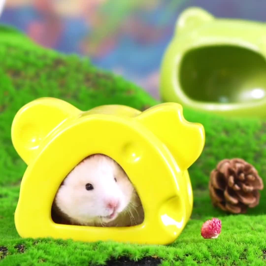 Nascondiglio Per Criceti In Ceramica Fatto A Mano - Casetta Rinfrescante Per Animali Domestici Con Cuscinetto In Cristallo