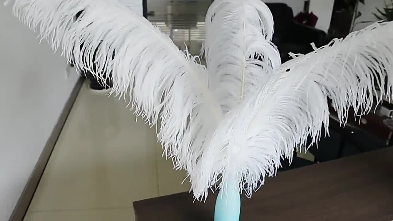 10500pcs White Ostrich Feathers for Crafts Wedding Party