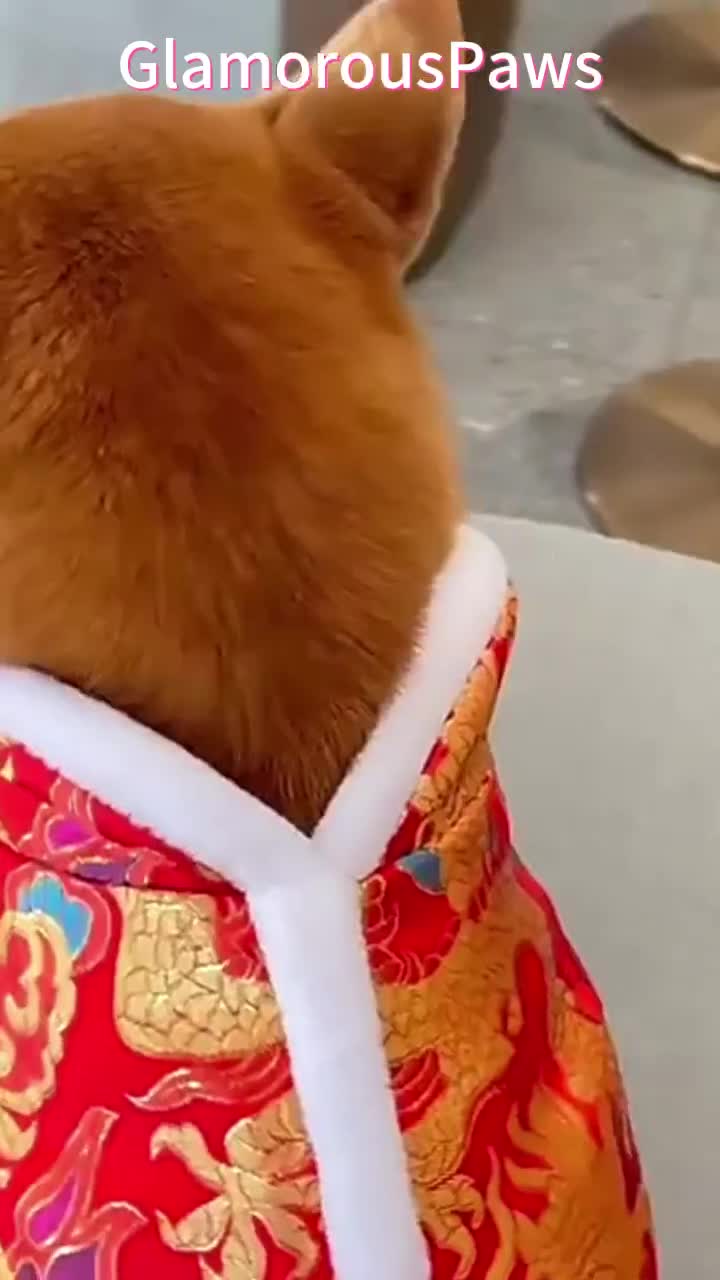 新年の犬服、レッドゴールドドラゴンコート、中国の春節のペットの衣装