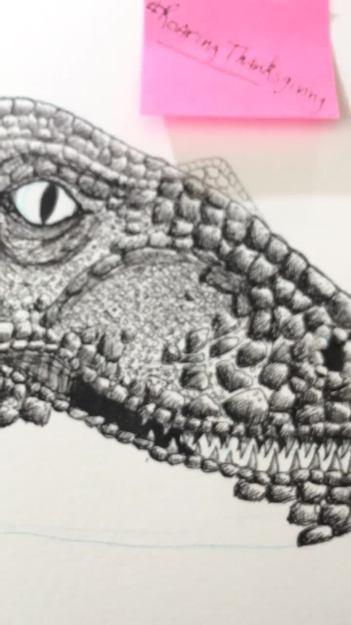 Buy Echo ART PRINT Jurassic World Raptor Squad Chris Prat Blue Charlie  Delta Velociraptor Dinosaur Illustration Ink Dino Art Online in India 