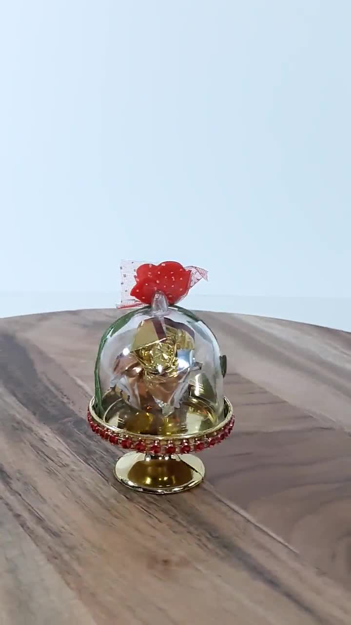 Mini Plastic Dome 